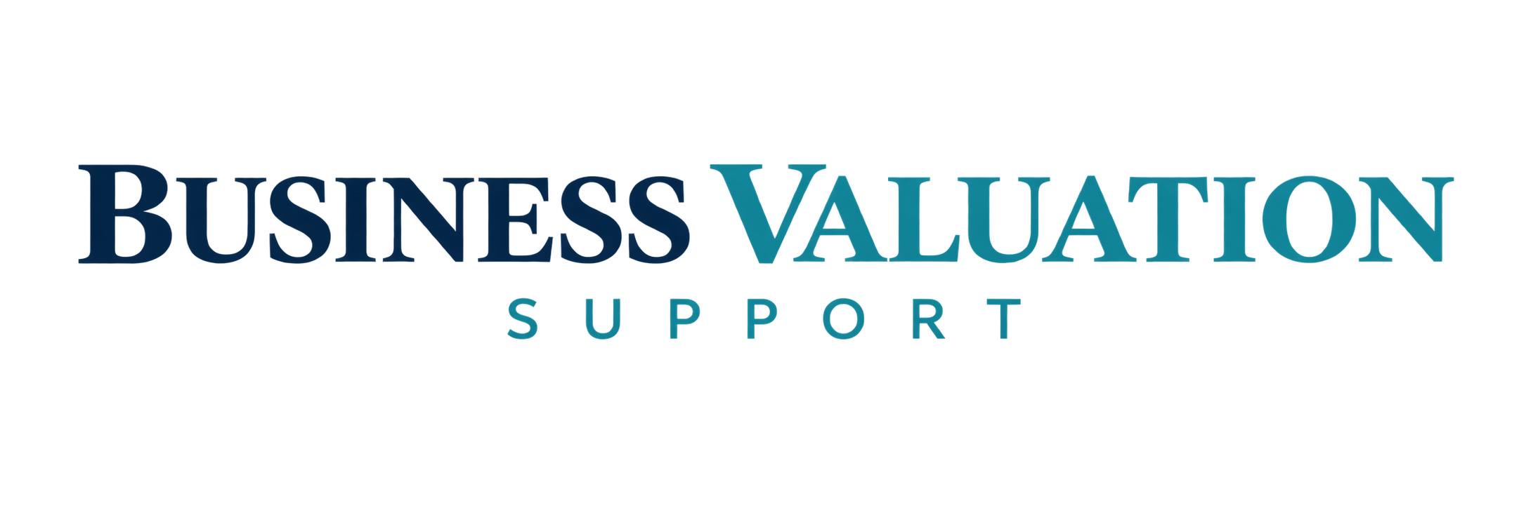 Business Valuation Support
