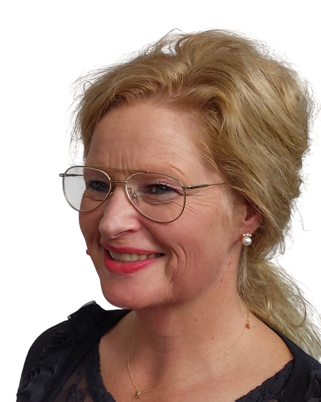 Harriet Mol, Valuedriver-analist